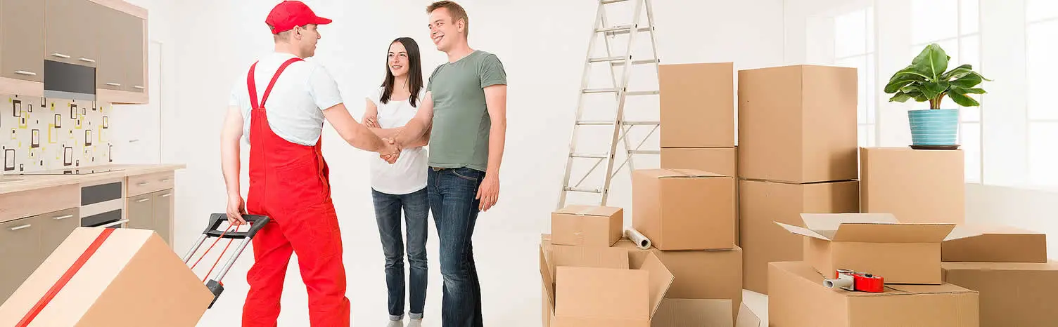 Yalova Kurumsal Taşıma